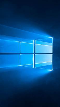 Insect Screen Systems For Windows