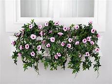 Pvc Window Boxes
