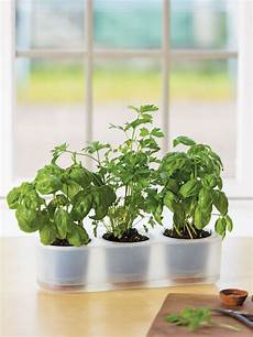 Windowsill