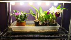 Windowsill
